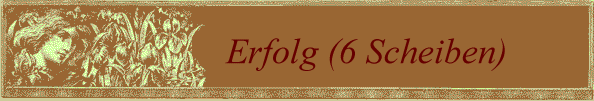 Erfolg (6 Scheiben)